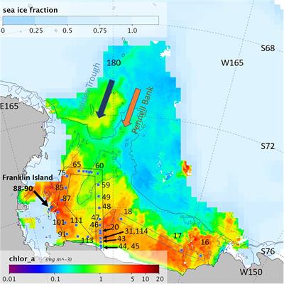 Dissolved Trace Metals in the Ross Sea